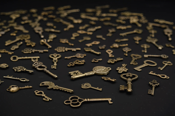 10 نژاد سگ که به خوبی تنهایی را تحمل می‌کنند + 18 نکته کلیدی