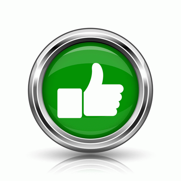 16 نکته کلیدی درباره ایدز گربه (FIV): از علائم تا درمان